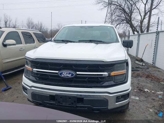 2024 Ford F-150 Xlt მანქანა იყიდება აუქციონზე, vin: 1FTFW3L81RKD73299, აუქციონის ნომერი: 12562901