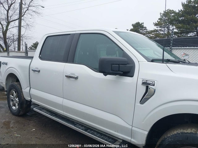 2024 Ford F-150 Xlt მანქანა იყიდება აუქციონზე, vin: 1FTFW3L81RKD73299, აუქციონის ნომერი: 12562901