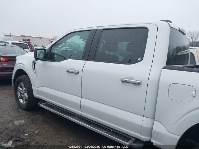 2024 Ford F-150 Xlt მანქანა იყიდება აუქციონზე, vin: 1FTFW3L81RKD73299, აუქციონის ნომერი: 12562901