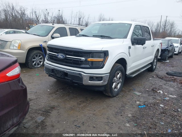 2024 Ford F-150 Xlt მანქანა იყიდება აუქციონზე, vin: 1FTFW3L81RKD73299, აუქციონის ნომერი: 12562901