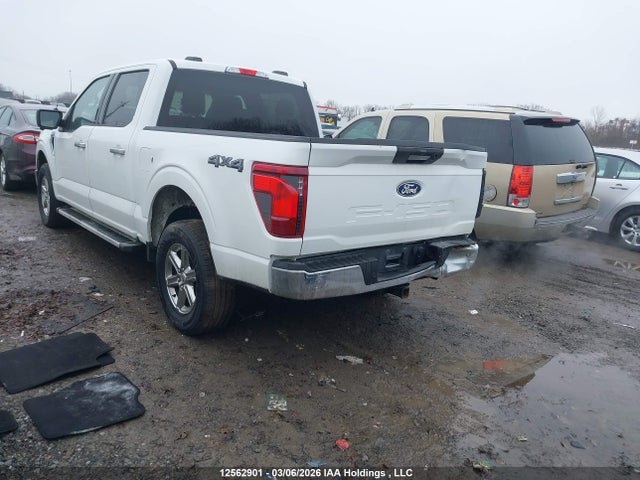 2024 Ford F-150 Xlt მანქანა იყიდება აუქციონზე, vin: 1FTFW3L81RKD73299, აუქციონის ნომერი: 12562901