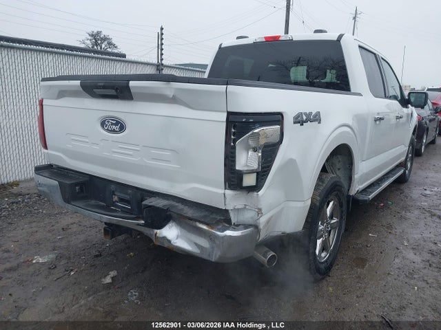 2024 Ford F-150 Xlt მანქანა იყიდება აუქციონზე, vin: 1FTFW3L81RKD73299, აუქციონის ნომერი: 12562901