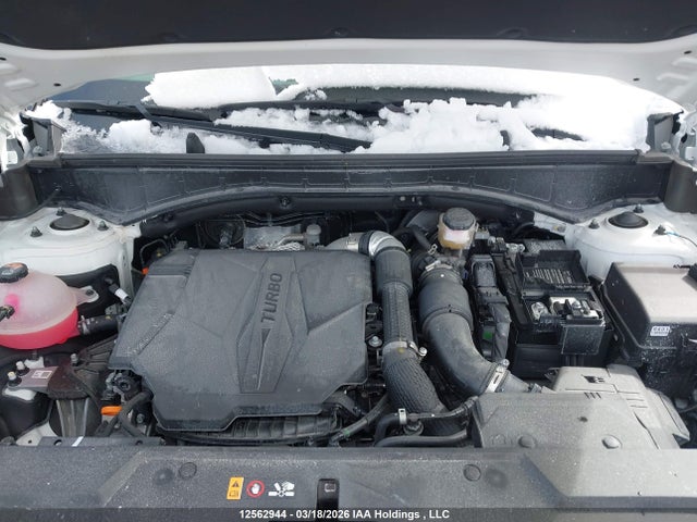 Продажа на аукционе авто 2025 Hyundai Santa Fe, vin: 5NMP5DGL3SH074927, номер лота: 12562944