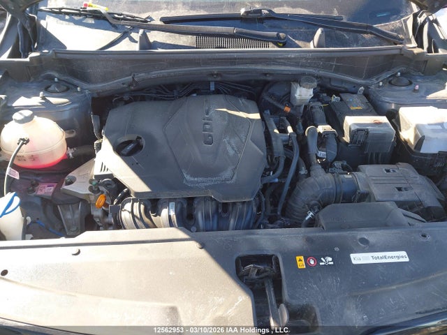 Продаж на аукціоні авто 2024 Kia Sportage, vin: KNDPUCDF1R7264089, номер лоту: 12562953
