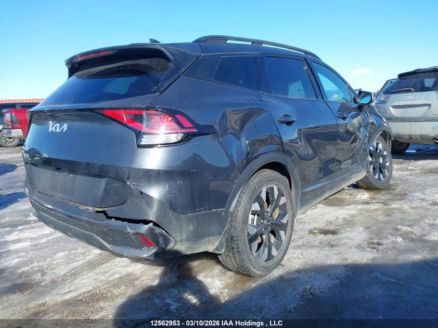Продаж на аукціоні авто 2024 Kia Sportage, vin: KNDPUCDF1R7264089, номер лоту: 12562953