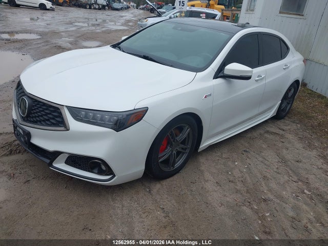 19UUB1F4XLA800025 Acura Tlx A-spec