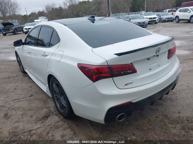 19UUB1F4XLA800025 Acura Tlx A-spec