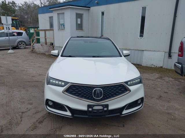 19UUB1F4XLA800025 Acura Tlx A-spec