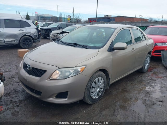 2010 Toyota Corolla S/le/xle მანქანა იყიდება აუქციონზე, vin: 2T1BU4EE7AC264929, აუქციონის ნომერი: 12562993