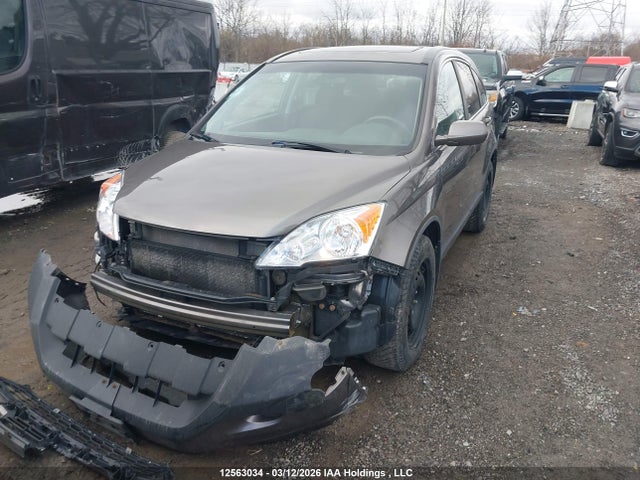 12563034 :رقم المزاد ، 5J6RE4H55BL812471 vin ، 2011 Honda Cr-v Ex مزاد بيع
