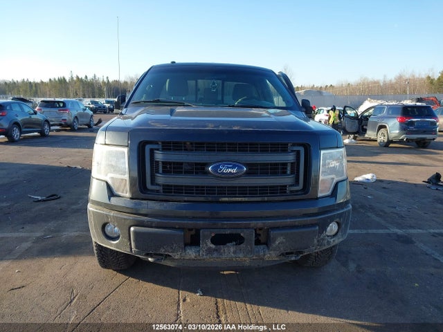 12563074 :رقم المزاد ، 1FTMF1EM7DKD32609 vin ، 2013 Ford F150 مزاد بيع