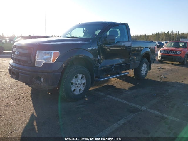 12563074 :رقم المزاد ، 1FTMF1EM7DKD32609 vin ، 2013 Ford F150 مزاد بيع