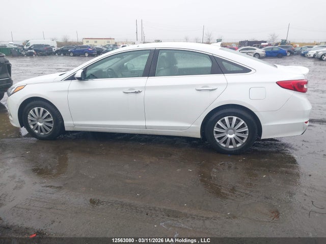 5NPE24AF7FH238806 Hyundai SONATA GLS