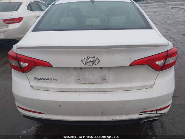 5NPE24AF7FH238806 Hyundai SONATA GLS