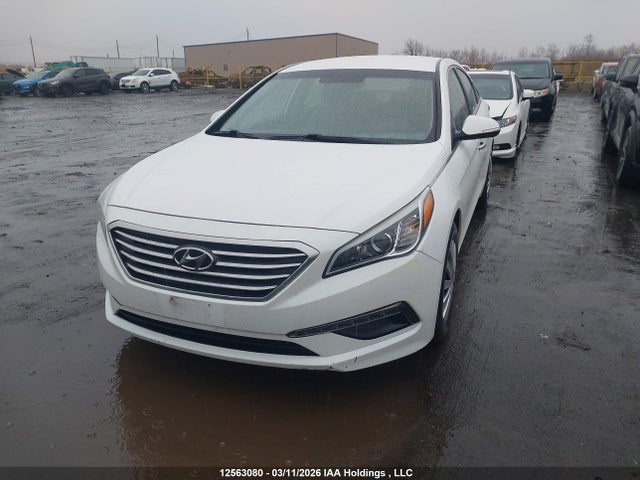 5NPE24AF7FH238806 Hyundai SONATA GLS