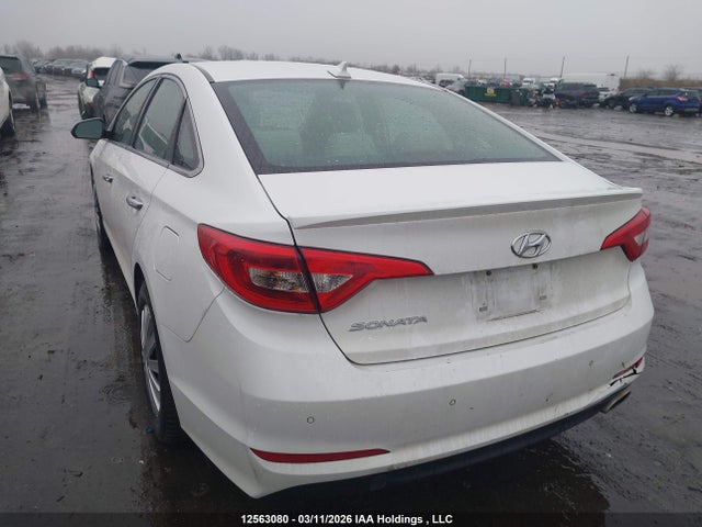 5NPE24AF7FH238806 Hyundai SONATA GLS