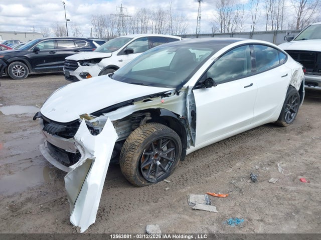 Продажа на аукционе авто 2023 Tesla Model 3, vin: 5YJ3E1EA4PF502382, номер лота: 12563081