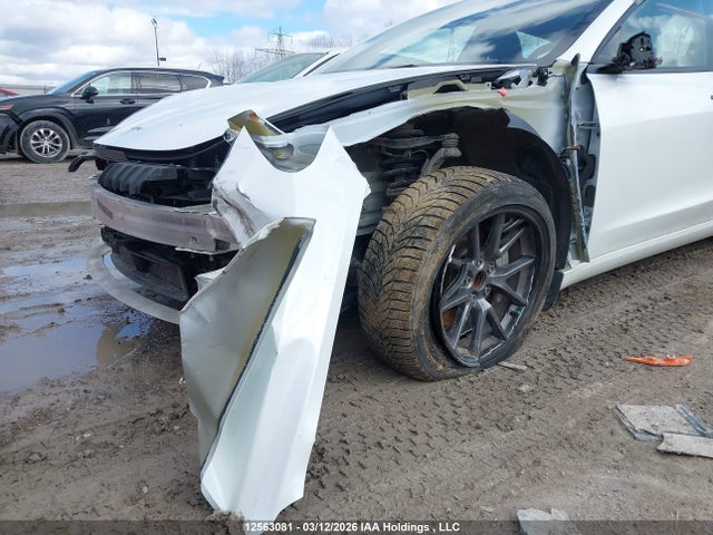 Продажа на аукционе авто 2023 Tesla Model 3, vin: 5YJ3E1EA4PF502382, номер лота: 12563081