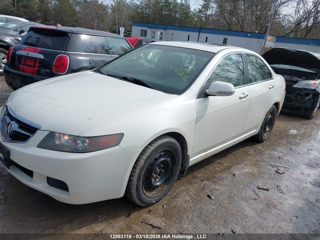 12563116 :رقم المزاد ، JH4CL96845C803808 vin ، 2005 Acura Tsx مزاد بيع