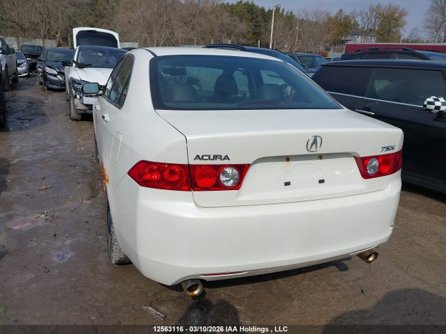 12563116 :رقم المزاد ، JH4CL96845C803808 vin ، 2005 Acura Tsx مزاد بيع
