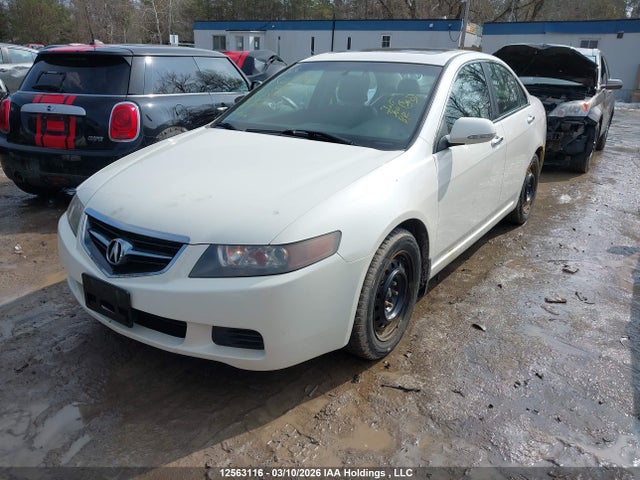 12563116 :رقم المزاد ، JH4CL96845C803808 vin ، 2005 Acura Tsx مزاد بيع
