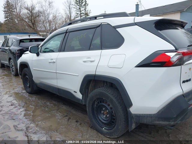 2T3RWRFV8PW164776 Toyota Rav4 Hybrid Xle