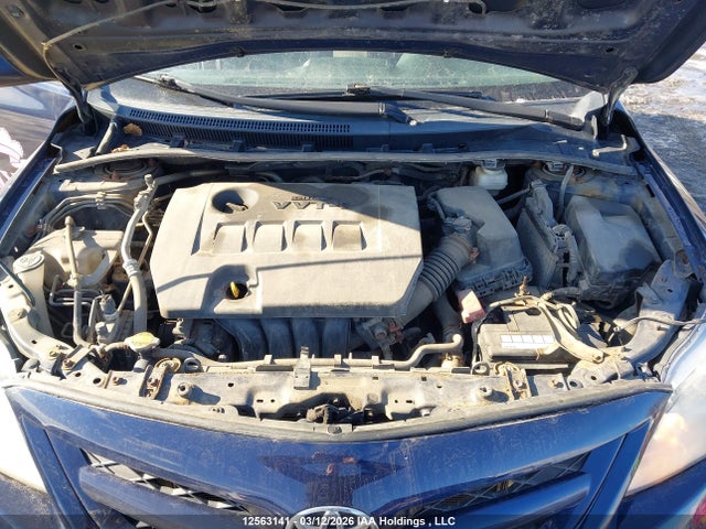 12563141 :رقم المزاد ، 2T1BU4EE5BC659547 vin ، 2011 Toyota Corolla مزاد بيع