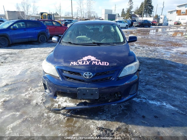 12563141 :رقم المزاد ، 2T1BU4EE5BC659547 vin ، 2011 Toyota Corolla مزاد بيع