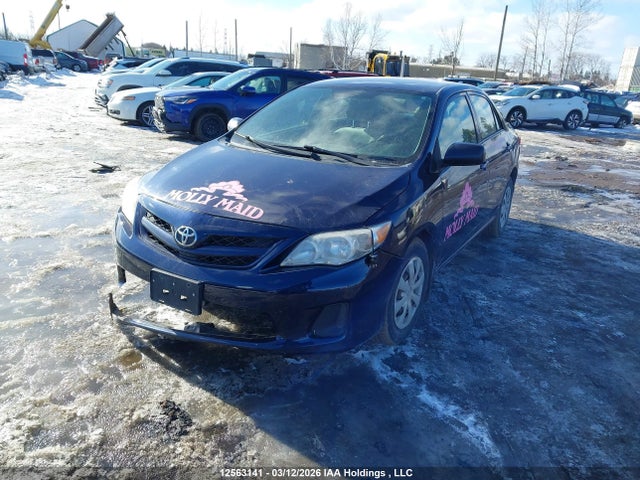 12563141 :رقم المزاد ، 2T1BU4EE5BC659547 vin ، 2011 Toyota Corolla مزاد بيع