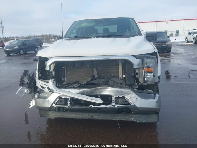 2023 Ford F150 Xl მანქანა იყიდება აუქციონზე, vin: 1FTFW1E50PKF66905, აუქციონის ნომერი: 12532784