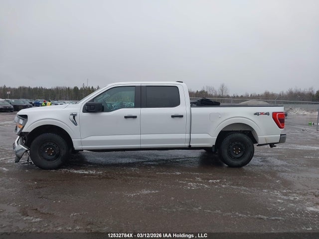 2023 Ford F150 Xl მანქანა იყიდება აუქციონზე, vin: 1FTFW1E50PKF66905, აუქციონის ნომერი: 12532784