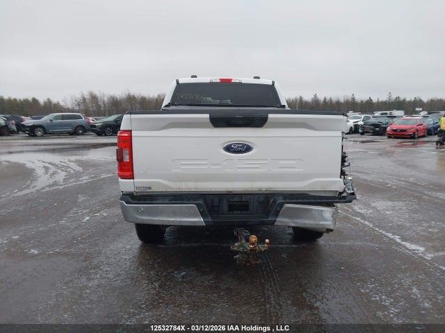 2023 Ford F150 Xl მანქანა იყიდება აუქციონზე, vin: 1FTFW1E50PKF66905, აუქციონის ნომერი: 12532784