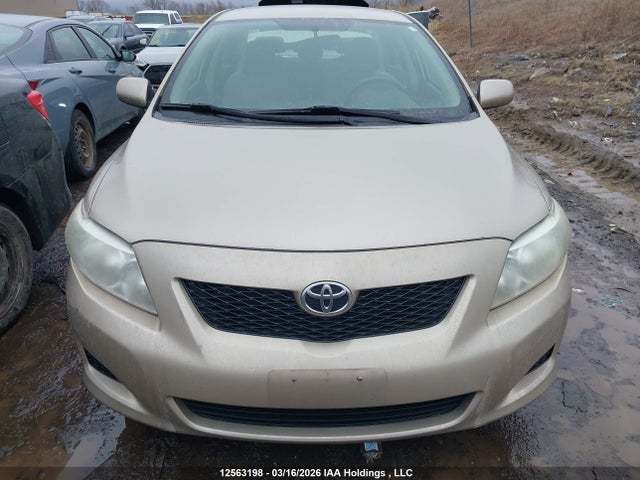 12563198 :رقم المزاد ، 2T1BU4EE9AC302757 vin ، 2010 Toyota Corolla S/le/xle مزاد بيع