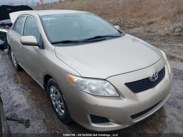 12563198 :رقم المزاد ، 2T1BU4EE9AC302757 vin ، 2010 Toyota Corolla S/le/xle مزاد بيع