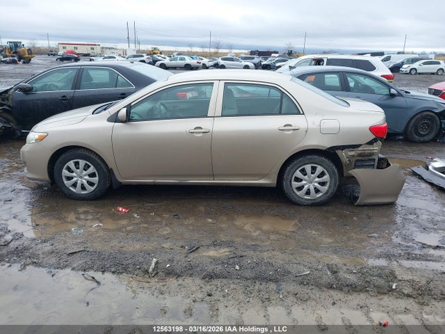 12563198 :رقم المزاد ، 2T1BU4EE9AC302757 vin ، 2010 Toyota Corolla S/le/xle مزاد بيع