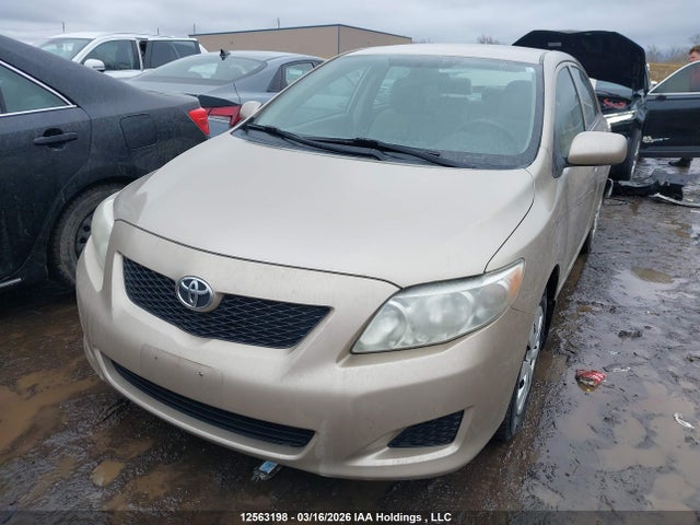 12563198 :رقم المزاد ، 2T1BU4EE9AC302757 vin ، 2010 Toyota Corolla S/le/xle مزاد بيع