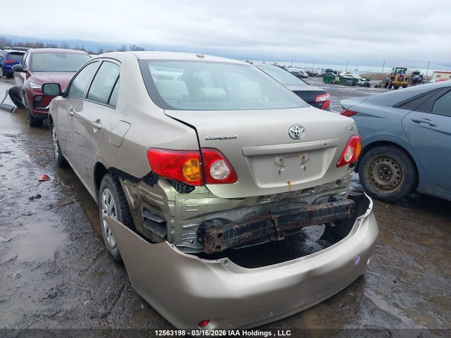 12563198 :رقم المزاد ، 2T1BU4EE9AC302757 vin ، 2010 Toyota Corolla S/le/xle مزاد بيع