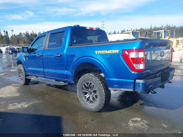 2022 Ford F-150 King Ranch/lariat/limited/platinum/tremor/xl/xlt მანქანა იყიდება აუქციონზე, vin: 1FTEW1E89NFC14689, აუქციონის ნომერი: 12563340