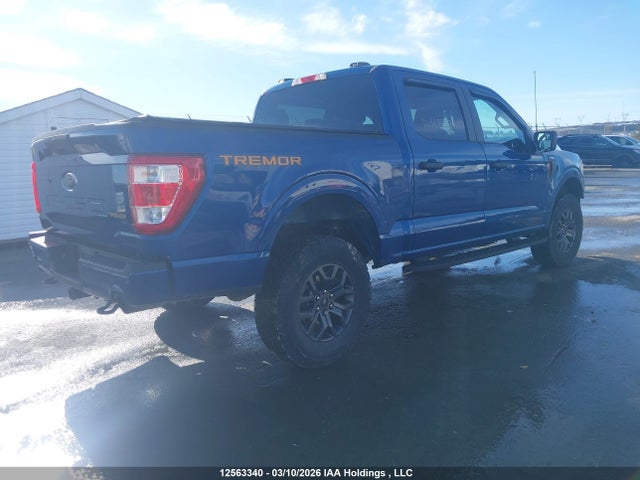 2022 Ford F-150 King Ranch/lariat/limited/platinum/tremor/xl/xlt მანქანა იყიდება აუქციონზე, vin: 1FTEW1E89NFC14689, აუქციონის ნომერი: 12563340