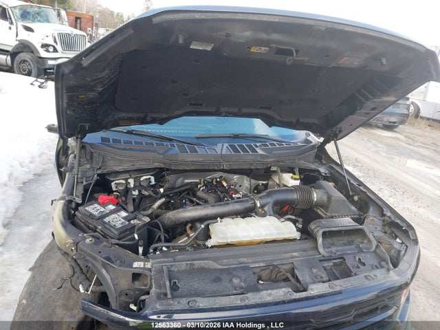 Продаж на аукціоні авто 2025 Ford F150 Xlt, vin: 1FTFW3L83SKD61693, номер лоту: 12563360