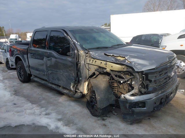 Продаж на аукціоні авто 2025 Ford F150 Xlt, vin: 1FTFW3L83SKD61693, номер лоту: 12563360