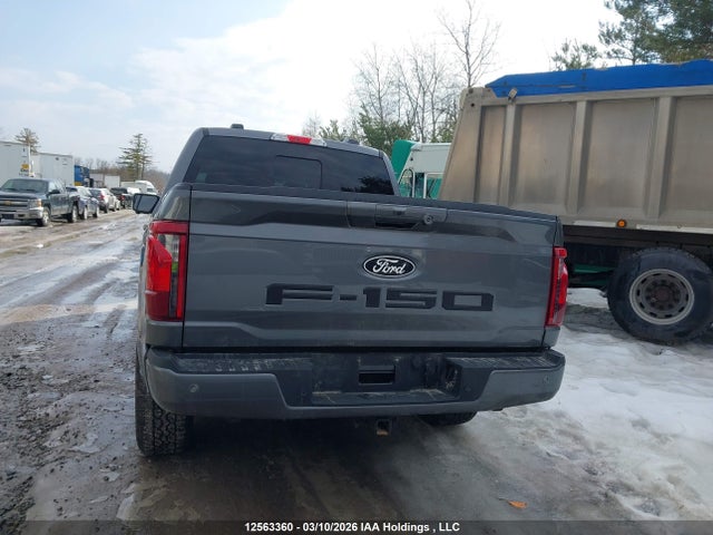 Продаж на аукціоні авто 2025 Ford F150 Xlt, vin: 1FTFW3L83SKD61693, номер лоту: 12563360