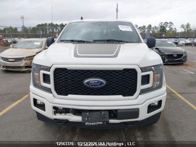 12563376 :رقم المزاد ، 1FTEW1EP6KFB91715 vin ، 2019 Ford F150 Supercrew مزاد بيع