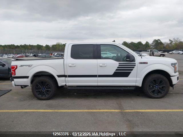12563376 :رقم المزاد ، 1FTEW1EP6KFB91715 vin ، 2019 Ford F150 Supercrew مزاد بيع