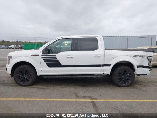 12563376 :رقم المزاد ، 1FTEW1EP6KFB91715 vin ، 2019 Ford F150 Supercrew مزاد بيع