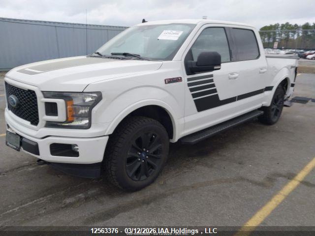 12563376 :رقم المزاد ، 1FTEW1EP6KFB91715 vin ، 2019 Ford F150 Supercrew مزاد بيع