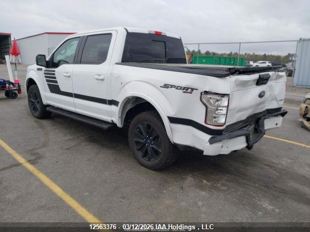 12563376 :رقم المزاد ، 1FTEW1EP6KFB91715 vin ، 2019 Ford F150 Supercrew مزاد بيع