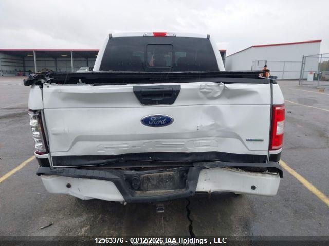 12563376 :رقم المزاد ، 1FTEW1EP6KFB91715 vin ، 2019 Ford F150 Supercrew مزاد بيع