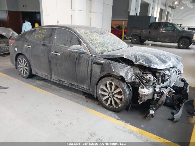 Aukcja sprzedaży 2016 Kia Optima, vin: 5XXGV4L25GG026297, numer aukcji: 12563394