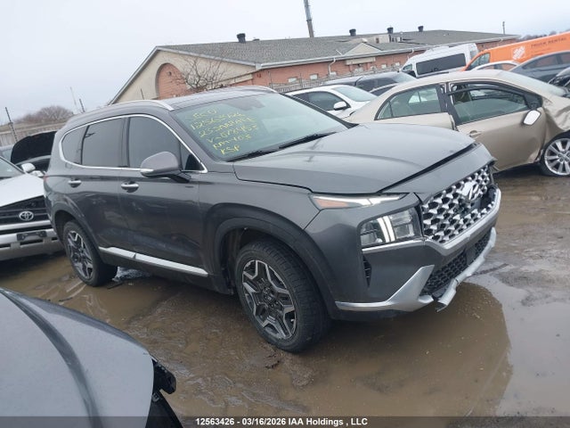 Aukcja sprzedaży 2023 Hyundai Santa Fe Luxury Hybrid Awd, vin: KM8S5DA18PU078453, numer aukcji: 12563426